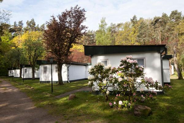 Meeressterne Ferienresort Damerow Koserow Exterior photo
